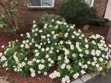 90-92 Sandwich Rd unit 5, Buzzards Bay, MA 02532 - photo 3