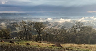 2460 Sulkey Ct, Copperopolis, CA 95228 - photo 2