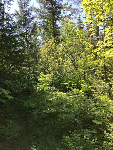 0 Fly Catcher Lts 13 & 14 unit 25-3423, St. Maries, ID 83861 - photo 5