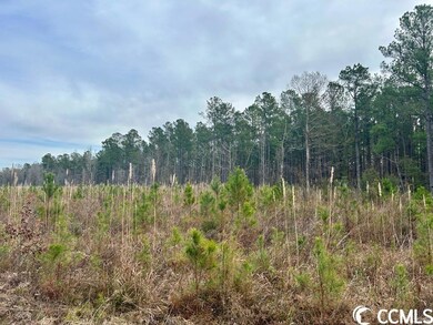 0 Craven Rd, Marion, SC 29571 - photo 5