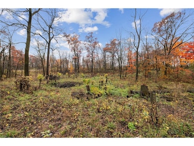 XXXX 100th Street St, Roberts, WI 54023 - photo 5