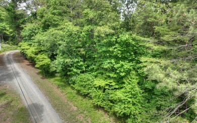 LT 42 Mountain Rivers Ln, Mineral Bluff, GA 30559 - photo 4