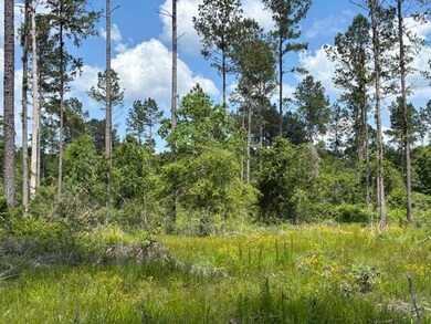 Great Hunting Area