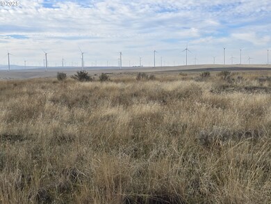 0 Gossen unit 515415298, Wasco, OR 97065 - photo 7