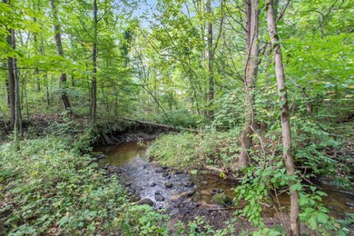 Creek