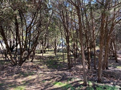 000 W Main St, Decatur, TX 76234 - photo 5