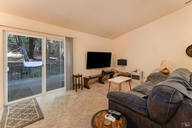 2078 Buckeye Dr, Willits, CA 95490 - photo 6