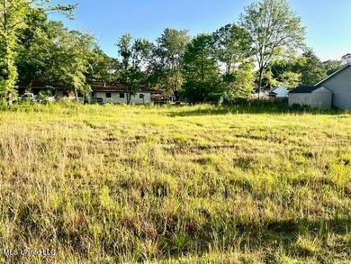 piney Ln Photo