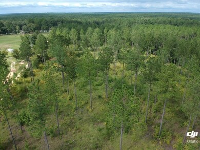 00 Spring Flats Rd, Sylvester, GA 31791 - photo 5