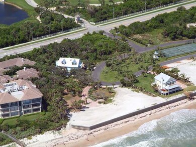 Aerial View.