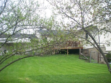 yard and deck