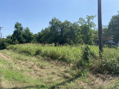 TBD E Cedar St, Whitewright, TX 75491 - photo 2