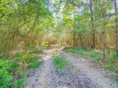 23810 Sanders Cemetary, Magnolia, TX 77355 - photo 7