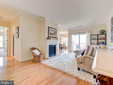 The Pavillion unit 412, Falls Church, VA 22043 - photo 5