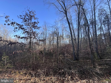 0 Buggy Ln unit VAMA2002548, Uno, VA 22738 - photo 3