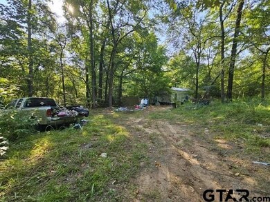 223 An County Road 4250, Palestine, TX 75803 - photo 4