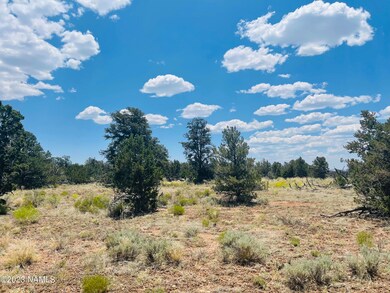 4799 N Hidden Ranch Rd Photo 3