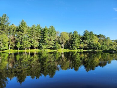 13167 Mc Coy Rd, Natural Bridge, NY 13665 - photo 5