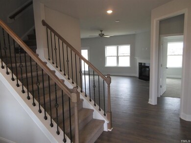 Representative picture