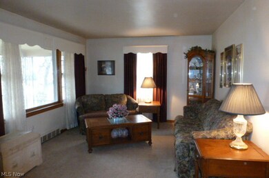 59 Iroquois St, Struthers, OH 44471 - photo 5