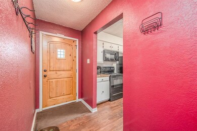 513 Palo Duro Dr, Joshua, TX 76058 - photo 4