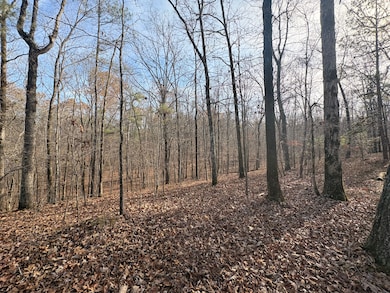 4570 Cabin Rd, McCalla, AL 35022 - photo 2