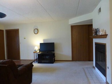 1222 Chalet Rd unit 104, Naperville, IL 60563 - photo 6