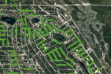 937 County Road 29, Lake Placid, FL 33852 - photo 2