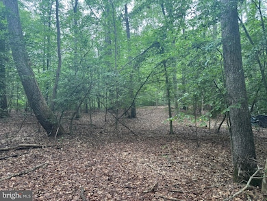 16661 Bald Eagle School Rd, Brandywine, MD 20613 - photo 2