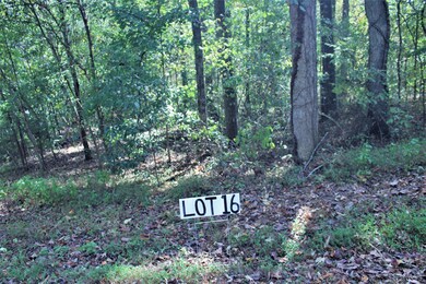 Lot 16b photo