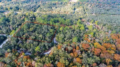 0 Rose Bloom Lot 5 Ave, Webster, FL 33597 - photo 2