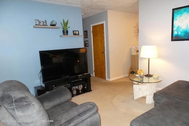 4811 Tenny St, Lansing, MI 48910 - photo 5