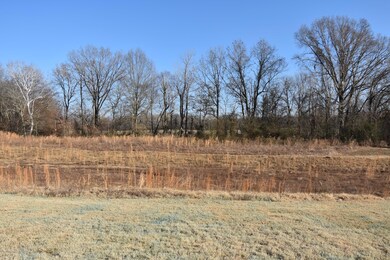 Large open yard