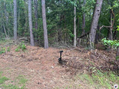 TBD CR 3 Fm 3129 -8 38, Queen City, TX 75572 - photo 6