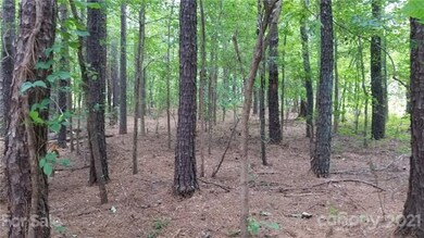 Wooded Lot