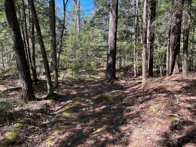 Map34Lot1 West St, Jefferson, ME 04348 - photo 3