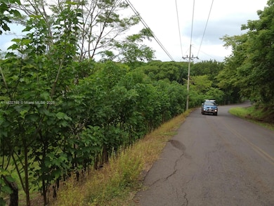 SAN JUAN GRANDE La Cascabela, Evanston, IL 60202 - photo 7