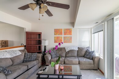 229 W Washington St unit 3270, Oswego, IL 60543 - photo 5