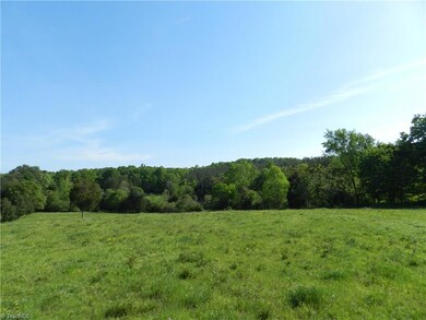 0 Old Nc Highway 13 unit 886063, Asheboro, NC 27205 - photo 5