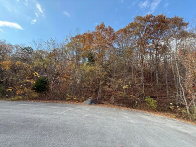 0 Bear Track Way unit 709747, Del Rio, TN 37727 - photo 3