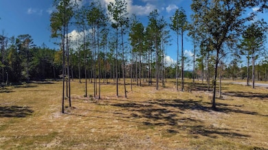 15537 Aniston Ln, Flint, TX 75762 - photo 2