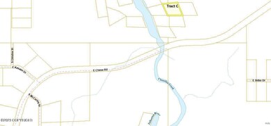 77132 E No Road Trail, Talkeetna, AK 99676 - photo 4