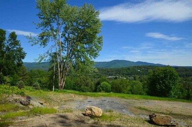 289 Cottage Club Rd unit Lot 3, Stowe, VT 05672 - photo 2
