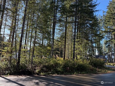 0 E Blackberry Ln, Union, WA 98592 - photo 4