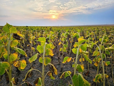 40500 E 144th Ave, Hudson, CO 80642 - photo 6