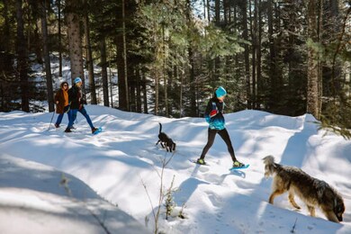 Snowshoe & Walking Paths