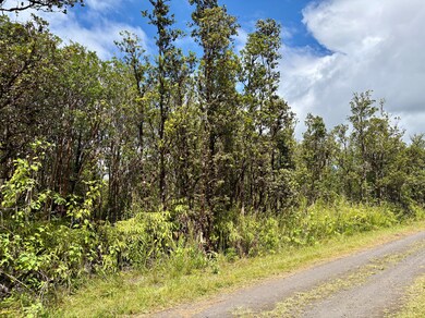 0 Alapua St unit 725668, Mountain View, HI 96771 - photo 3