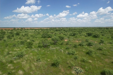 Tract 12 TBD Cr 483, Hawley, TX 79525 - photo 2