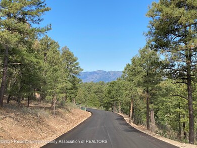 L2D Walter Hagen Dr, Alto, NM 88312 - photo 3