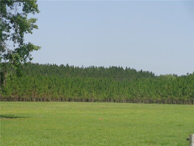 56002 Griffin Rd, Callahan, FL 32011 - photo 3